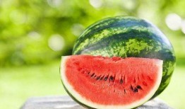 m718娱乐吃瓜,一场吃瓜盛宴背后的娱乐风云