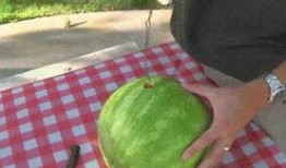 今日吃瓜合集,娱乐圈风云再起，热点事件盘点