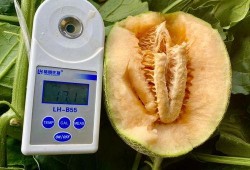 今日吃瓜合集,娱乐圈风云再起，热点事件盘点