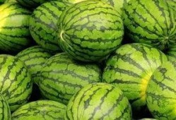 每日吃瓜大赛入口,揭秘娱乐圈幕后风云