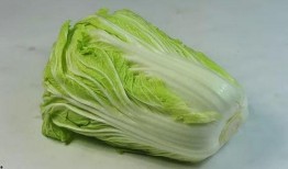 娱乐吃瓜姐白菜,白菜带你领略娱乐圈的瓜田乐趣