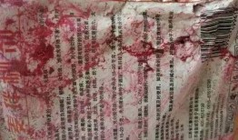 娱乐吃瓜君和二豆